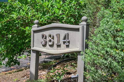 3814 Happy Valley Rd, Lafayette, CA 94549 - Photo 1