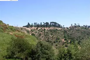 7150 Marlborough, Oakland, CA 94705 - Photo 12
