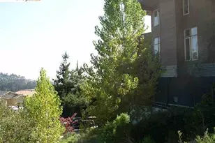 7150 Marlborough, Oakland, CA 94705 - Photo 20