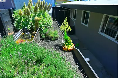 5239 Katrina Ct, Castro Valley, CA 94546 - Photo 58