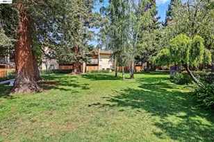 247 Capitol Ave, San Jose, CA 95127 - Photo 30