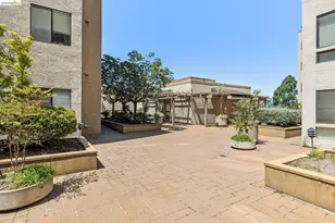 545 Pierce St, Albany, CA 94706 - Photo 48