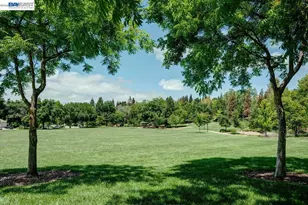 479 Mission Dr, Pleasanton, CA 94566 - Photo 40
