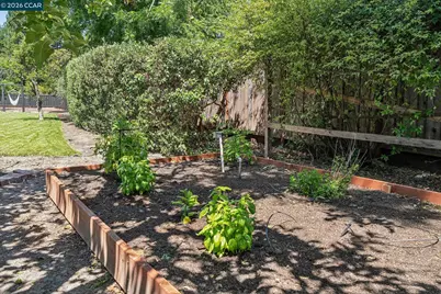 137 Megan Ct., Alamo, CA 94507 - Photo 78