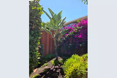 125 Paulette Way, Antioch, CA 94509 - Photo 16