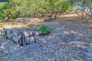74 Yarrow Valley Ln, Orinda, CA 94563 - Photo 64