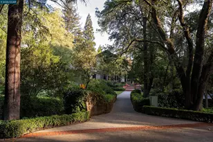 300 Camille Ave, Alamo, CA 94507 - Photo 46