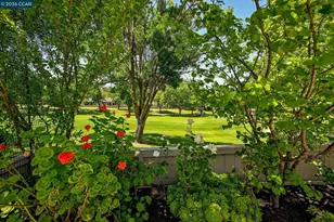 1937 Rancho Verde Circle, Danville, CA 94526 - Photo 28
