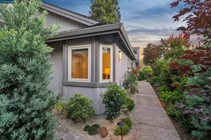 207 Live Oak Dr, Danville, CA 94506 - Photo 66