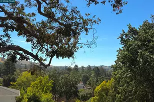 293 Via Cima Ct, Danville, CA 94526 - Photo 6