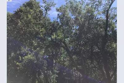 1929 Kilkare Road, Sunol, CA 94586 - Photo 30
