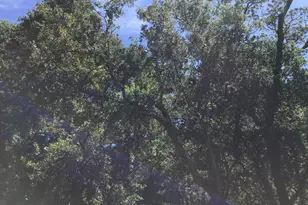 1929 Kilkare Rd, Sunol, CA 94586 - Photo 30