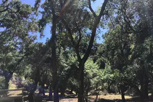 1929 Kilkare Rd, Sunol, CA 94586 - Photo 12