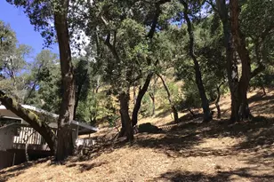 1929 Kilkare Rd, Sunol, CA 94586 - Photo 22