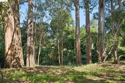 73 Kingston Rd, Kensington, CA 94707 - Photo 52