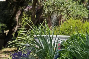 73 Kingston Rd, Kensington, CA 94707 - Photo 42