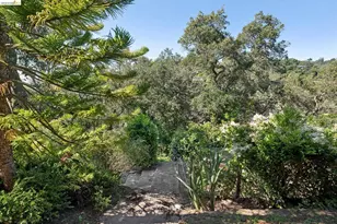 453 Scenic Ave, Piedmont, CA 94611 - Photo 78