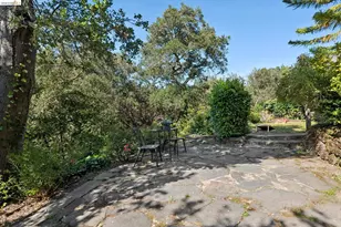 453 Scenic Ave, Piedmont, CA 94611 - Photo 80