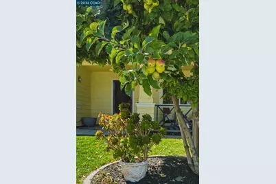 405 Tradewinds Ct, Bay Point, CA 94565 - Photo 4