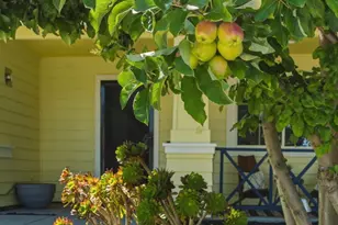 405 Trade Winds Ct, Bay Point, CA 94565 - Photo 4