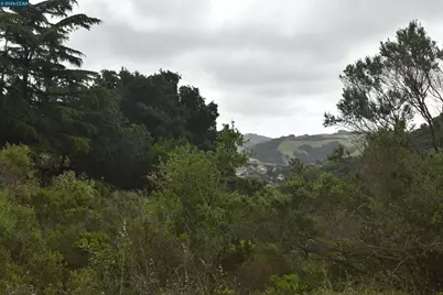 5309 Jensen Rd, Castro Valley, CA 94552 - Photo 6