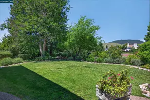 5303 Blackhawk Dr, Danville, CA 94506 - Photo 80