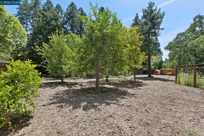 27 Shawn Ct, Alamo, CA 94507 - Photo 64