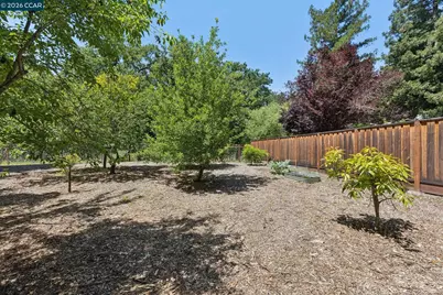 27 Shawn Ct, Alamo, CA 94507 - Photo 62