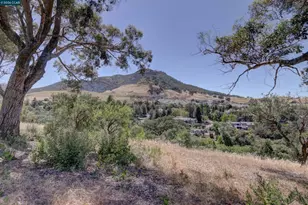 585 Mt Dell Dr, Clayton, CA 94517 - Photo 26