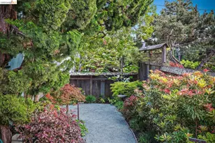 1429 Edith St, Berkeley, CA 94703 - Photo 32