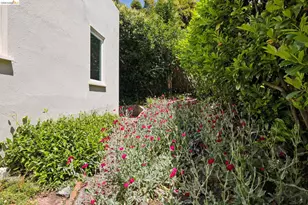 178 Ardmore Rd, Kensington, CA 94707 - Photo 48