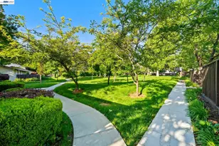 36405 Sereno Common, Fremont, CA 94536 - Photo 24