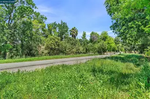 3165 Manor Ave, Walnut Creek, CA 94597 - Photo 50
