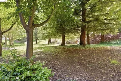 605 Forest Run, Hercules, CA 94547 - Photo 26