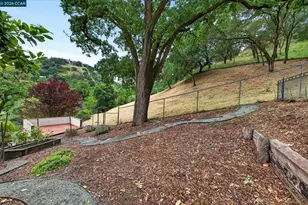 58 Saddle Rd, Walnut Creek, CA 94595 - Photo 44
