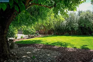 4345 Rose Ln, Concord, CA 94518 - Photo 46