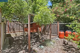2024 Walnut Blvd, Walnut Creek, CA 94597 - Photo 40