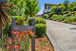 6 Tanglewood Ln, Lafayette, CA 94549 - Photo 94