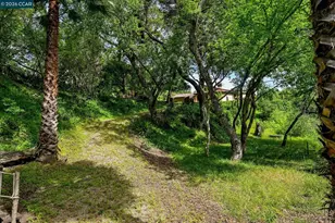 490 St Marys Rd, Lafayette, CA 94549 - Photo 44