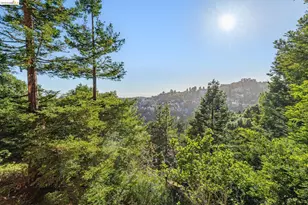 35 Bay Forest Ct, Oakland, CA 94611 - Photo 58