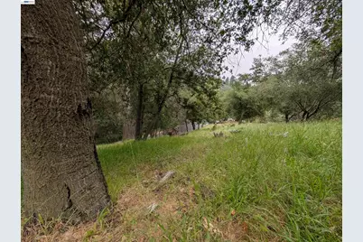 000 Girvin Drive, Oakland, CA 94603 - Photo 6