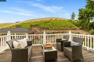 298 Barrington Ln, Alamo, CA 94507 - Photo 66