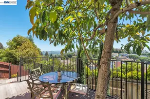2433 Fox Ridge Dr, Castro Valley, CA 94546 - Photo 66