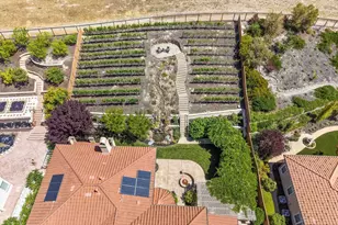 387 Golden Grass Dr, Alamo, CA 94507 - Photo 64