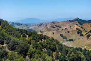 224 Bear Oaks Ln, Martinez, CA 94553 - Photo 40