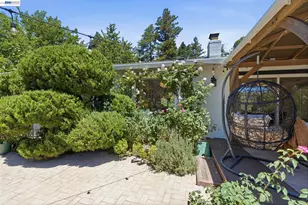 656 La Vista Rd, Walnut Creek, CA 94598 - Photo 44