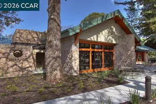 2709 Ptarmigan Dr, Walnut Creek, CA 94595 - Photo 38