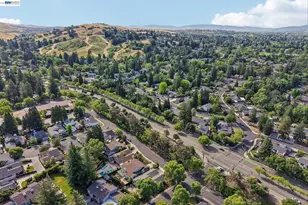 498 Freitas Rd, Danville, CA 94526 - Photo 48