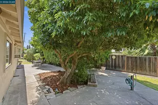 1645 Beckner Ct, Concord, CA 94521 - Photo 44