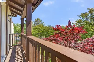 3107 Browntail Way, San Ramon, CA 94582 - Photo 50